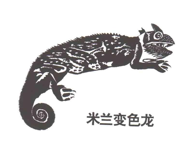 米兰变色龙