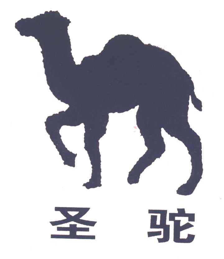 圣驼