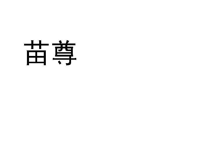 苗尊