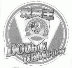 双冠王;DOUBLE CHAMPIONS;LUNENG TAISHAN;LNTS