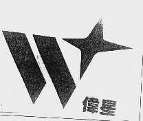 伟星