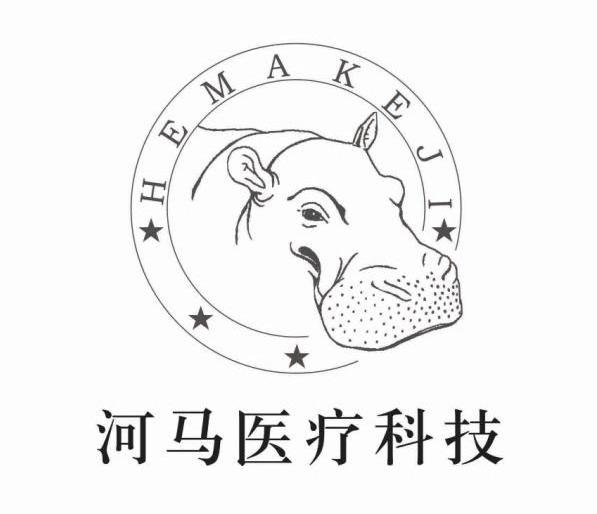 河马医疗科技 HEMAKEJI