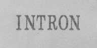 INTRON