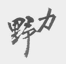 野力