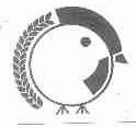 图形