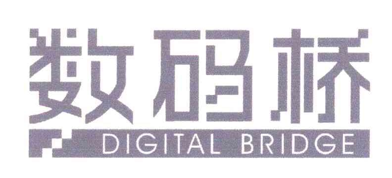 数码桥;DIGITAL BRIDGE