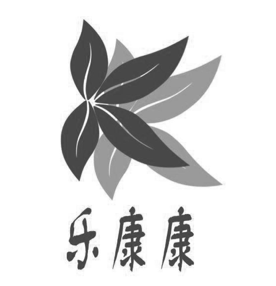 乐康康