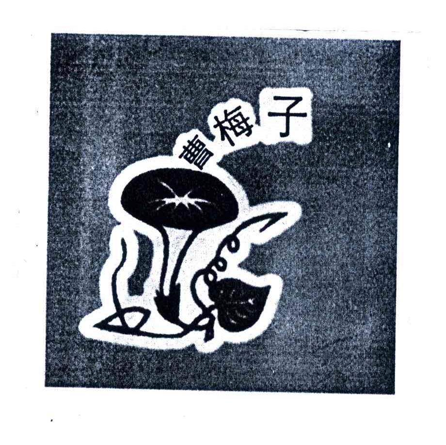 曹梅子