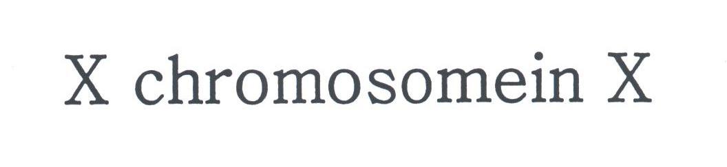 X CHROMOSOMEIN X