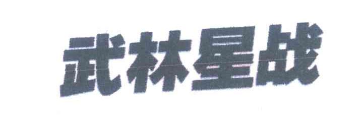 武林星战