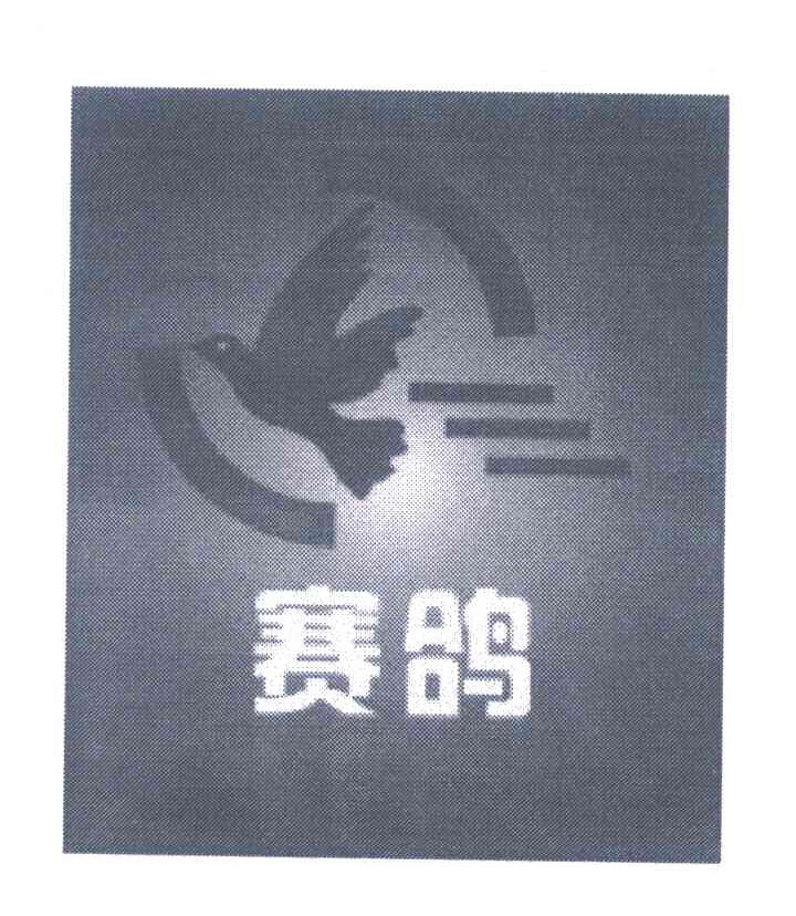 赛鸽
