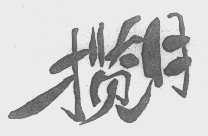 揽月