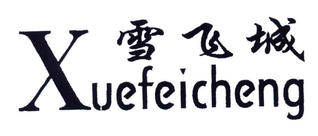 雪飞城