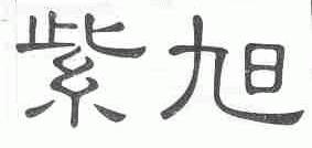 紫旭