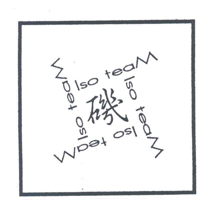 ISO TEAM