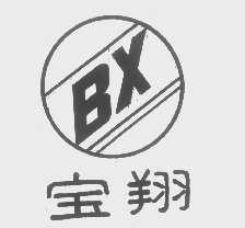 宝翔