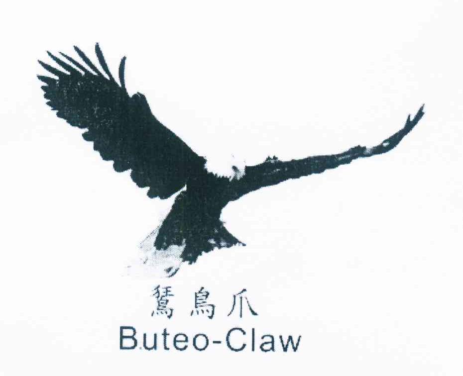 鵟鸟爪 BUTEO-CLAW