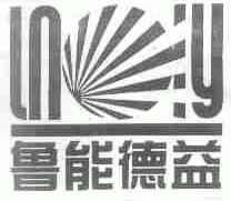 鲁能德益;LNOIY