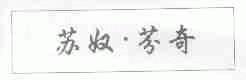 苏奴.芬奇