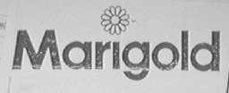 MARIGOLD