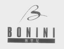 博里尼   BONINI