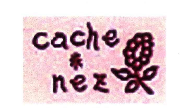 CACHE NEZ
