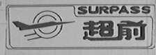 超前    SURPASS