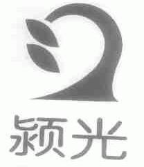 颍光