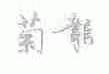 菊龙