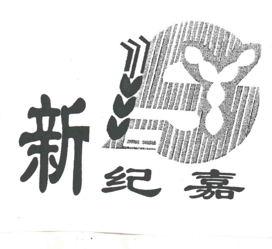 新纪嘉