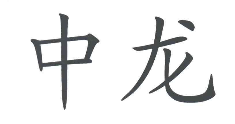 中龙