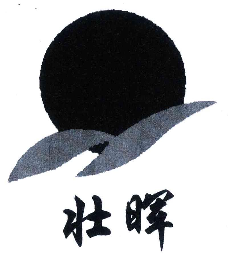 壮晖