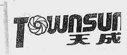 天成  TOWNSUN