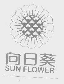向日葵   SUN FLOWER