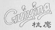 桂鹰