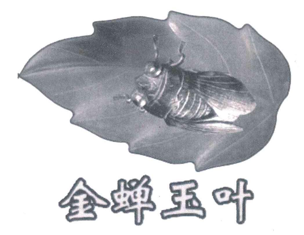 金蝉玉叶