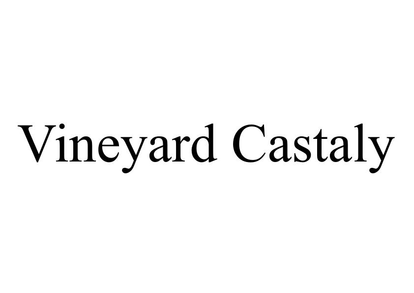 VINEYARD CASTALY