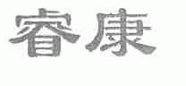 睿康