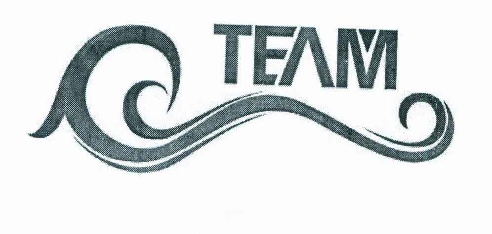 TEAM
