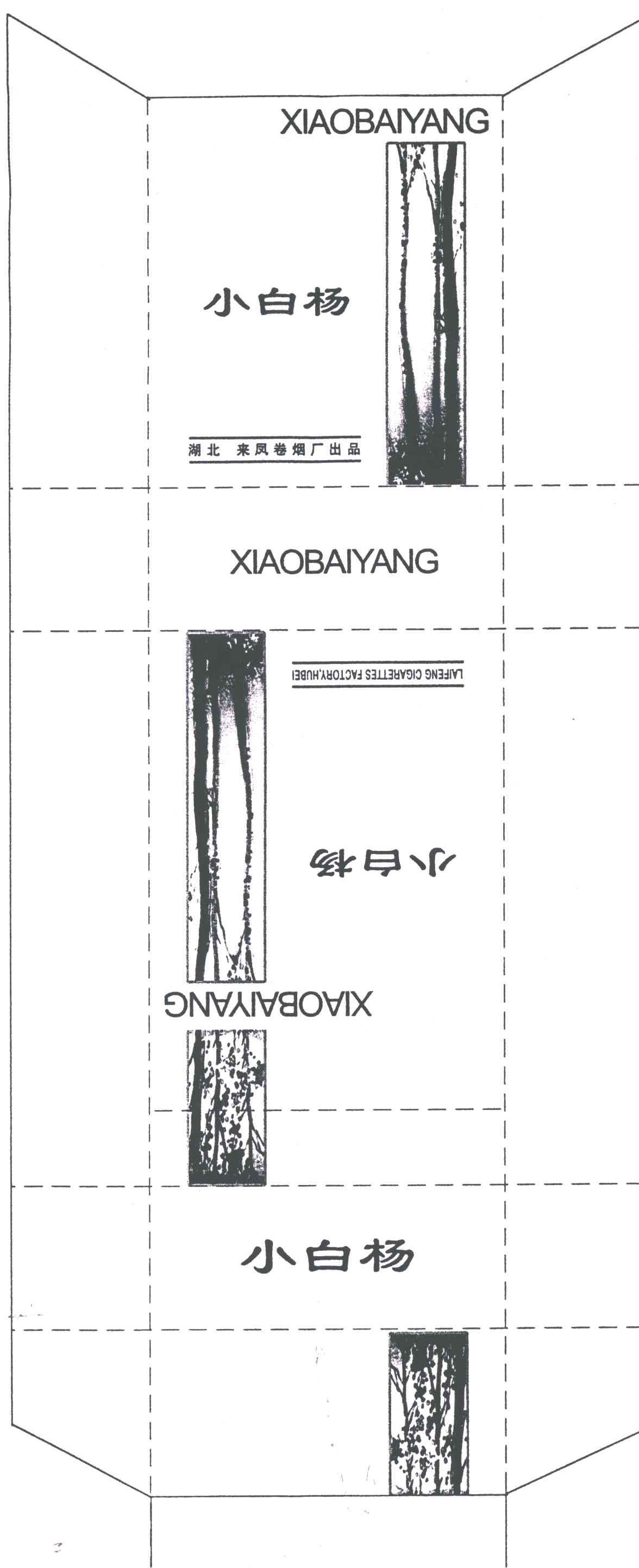 小白扬