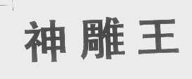 神雕王