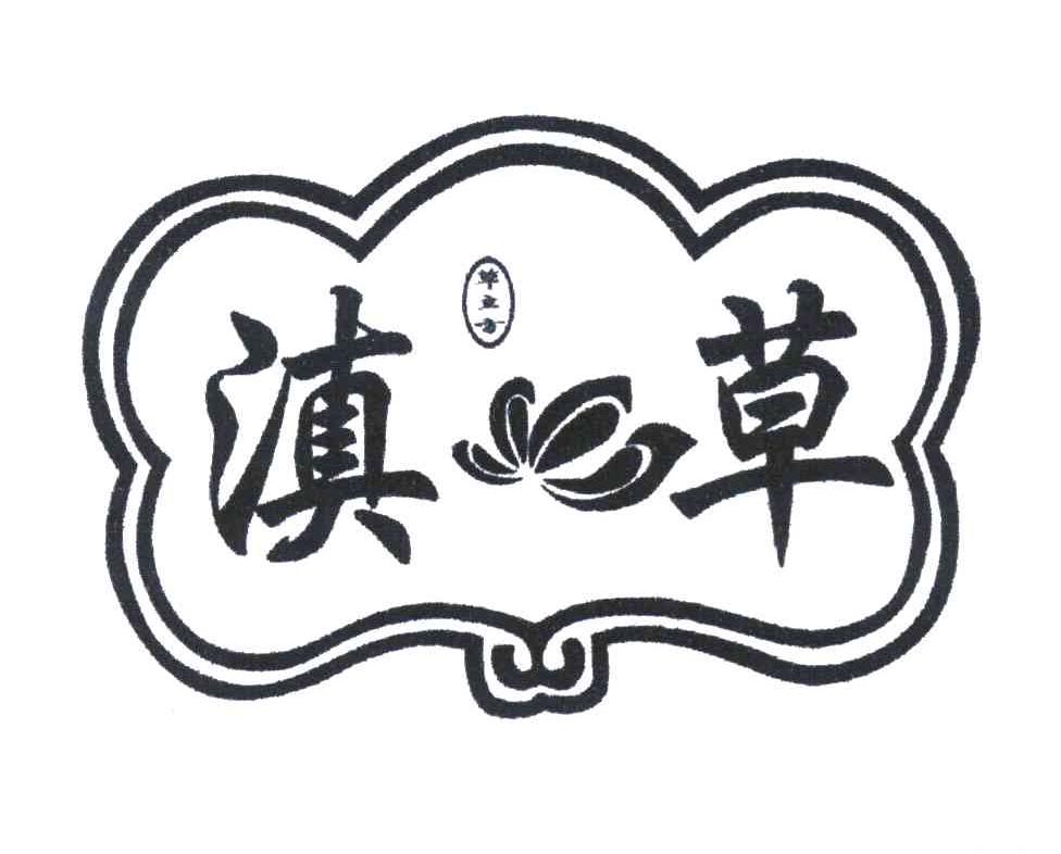 滇草 草立方