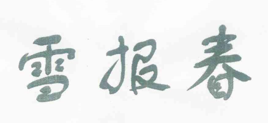 雪报春