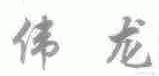 伟龙