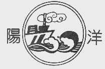 阳洋