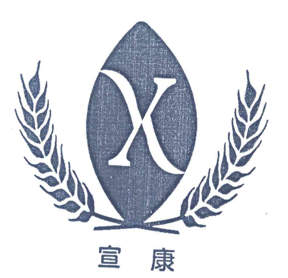 宣康;X