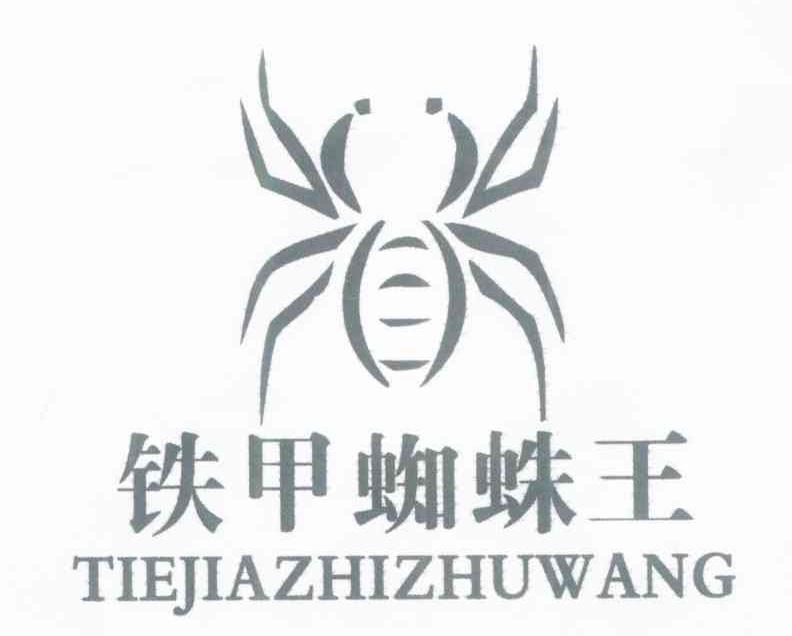 铁甲蜘蛛王