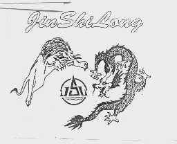JIN SHI LONG
