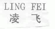 凌飞