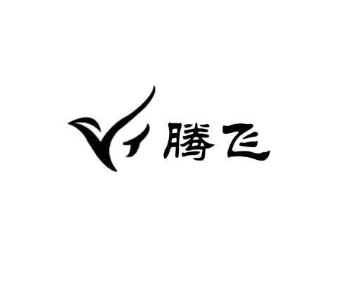 腾飞